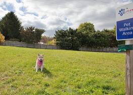 キャンドルウッド スイーツ ロックフォード by IHG 写真