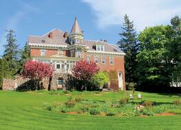 ブラインド タイガー バーリントン 写真