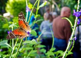 Holiday Inn Sioux Falls-City Center By IHG 写真