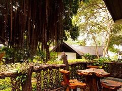 パラダイス パール バンガロー 写真