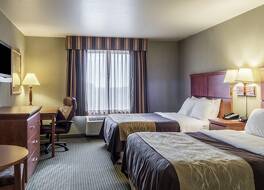 コンフォート イン & スイーツ ミッチェル I-90 写真