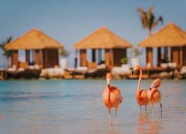 Renaissance Wind Creek Aruba Resort 写真