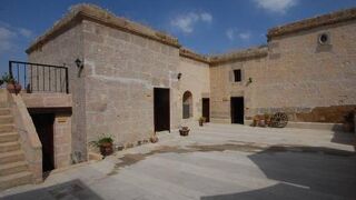 カラマンリ コナギ