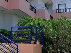 ティスヴィ 写真