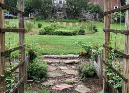 ブラインド タイガー バーリントン 写真