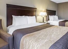 コンフォート イン & スイーツ、ティンレー パーク アンフィシアター近く 写真