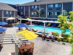 メープル ツリー イン ホテル 写真