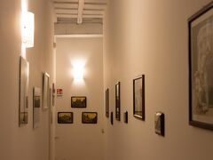 マジェンタコレクションカンチェロ 写真