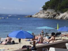 カニェリェス プラッチャ 写真