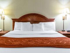 コンフォート スイーツ 写真