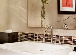 ザウィットシカゴ、アヒルトンホテル 写真