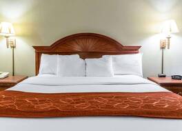 コンフォート スイーツ 写真