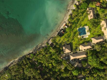 アリラ マンギス 写真