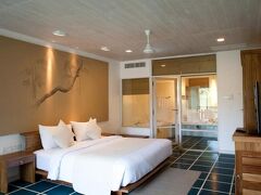 ジェットウィングブルー 写真