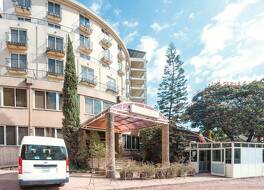 ビア ガーデン イン 写真