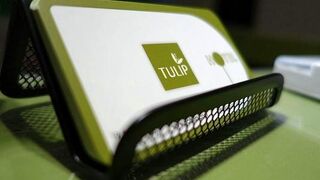 チューリップ ホテル