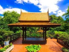 イエロー リボン ヒルズ ブティック スイーツ 写真