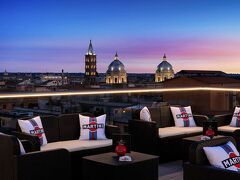 ゴールデン チューリップ ローマ ピラム 写真