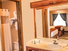 ワイルド ベア イン 写真