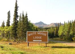 White Moose Lodge 写真