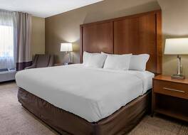 コンフォート イン モリーン - クアッド シティーズ