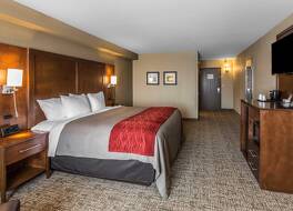 コンフォート イン & スイーツ ノックスビル ウェスト 写真