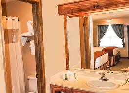 ワイルド ベア イン 写真