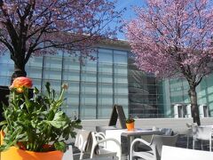 ホテル ビクトリア 写真