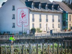 Hôtel-Spa Ô Rouge - Gevrey-Chambertin - Teritoria 写真