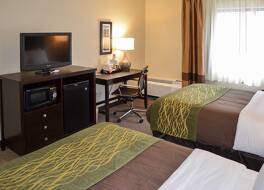 コンフォート イン デトロイト ダウンタウン 写真