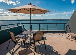 ロイヤル チューリップ ブラジリア アルボラーダ 写真