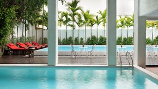 Mane Colonial Classic