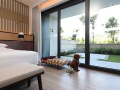 Hyatt Regency Sanya Tianli Bay 写真