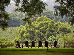 エレワナ ザ マナー ンゴロンゴロ 写真