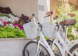 プリマ テル アビブ ホテル 写真