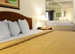 クオリティ イン & スイーツ インディアナポリス ノースウェスト 写真