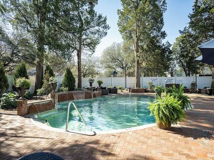 ザ ウィルコックス 写真