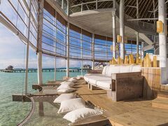 ソネバ ジャニ 写真