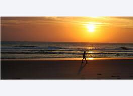 パシフィック パームズ モーター イン 写真