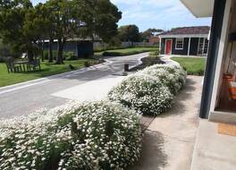 ビーチーズ バイ ザ シー 写真