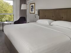 Hyatt Regency London The Churchill 写真