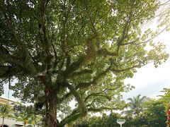 パークロイヤル ペナン リゾート 写真