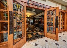 ヒルトン ノックスビル エアポート 写真