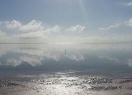 Villa Fleur De Lys 写真