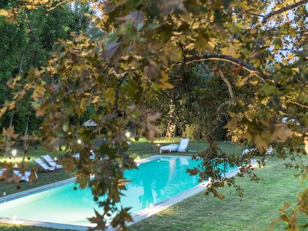 ラ バルケッサ ディ ヴィラ ピサニ 写真