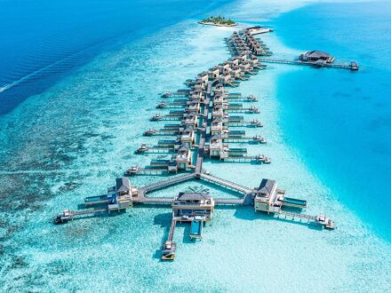 アンサナ ヴェラヴァル 写真