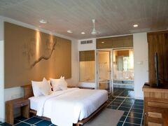 ジェットウィングブルー 写真