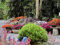 Blue Tree Towers Joinville 写真