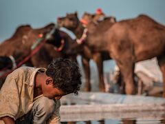 Hotel Tulsi Palace 写真