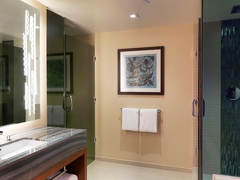 ヒルトン グランド バケーションズ クラブ ザ グランド アイランダー ワイキキ ホノルル 写真